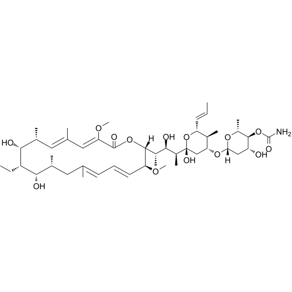 Concanamycin A(Synonyms: 刀豆素A; Antibiotic X 4357B;  Concanamycin;  X 4357B)
