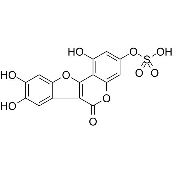 Demethylwedelolactone Sulfate(Synonyms: Demethylwedelolactone 3-sulfate)