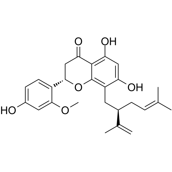 Leachianone A