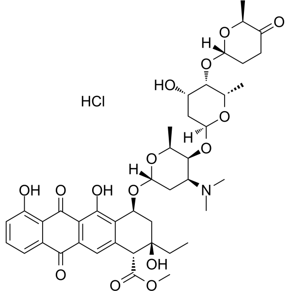 Aclacinomycin A hydrochloride(Synonyms: 盐酸阿柔比星; Aclarubicin hydrochloride)