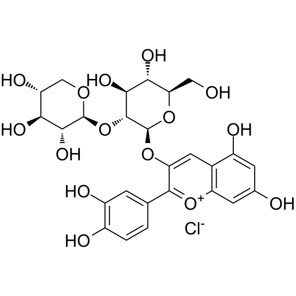 Cyanidin 3-sambubioside chloride(Synonyms: Cyanidin-3-O-sambubioside chloride)