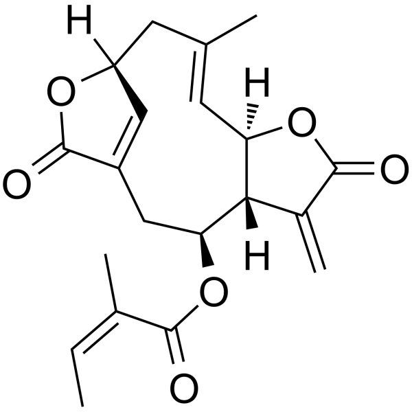 Isoscabertopin