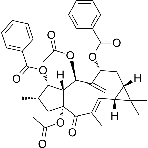 Euphorbia Factor L2 Chemical Structure Euphorbia Factor L2(Synonyms: 大戟因子L2)