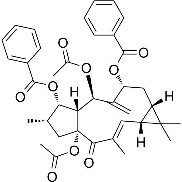 Euphorbia Factor L2(Synonyms: 大戟因子L2)