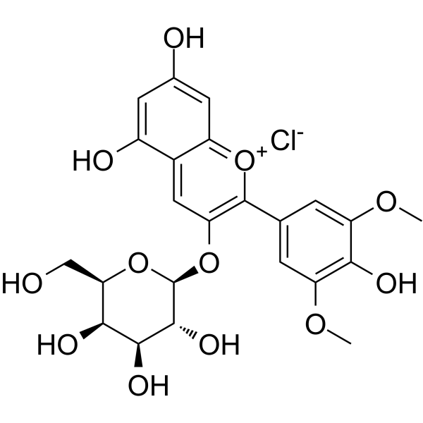 Malvidin-3-galactoside chloride(Synonyms: 氯化锦葵色素-3-O-半乳糖苷)
