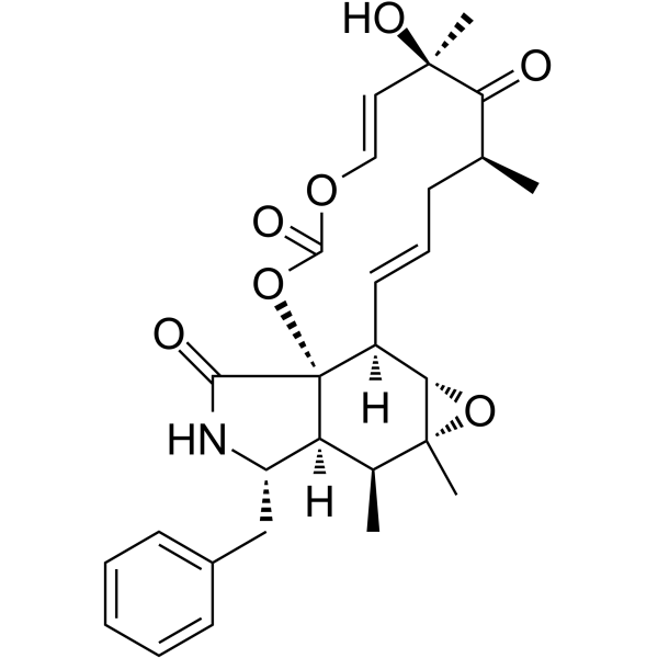 Cytochalasin E(Synonyms: 细胞松弛素E)