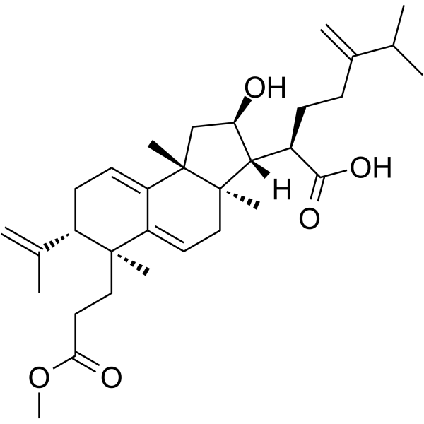 Poricoic acid AM Chemical Structure Poricoic acid AM