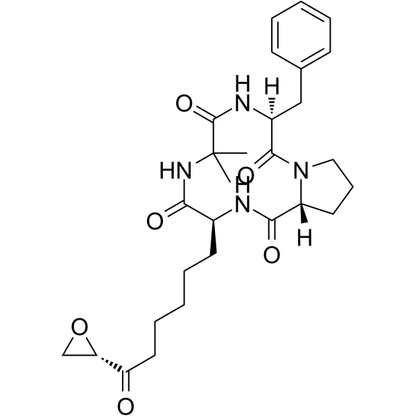 Chlamydocin Chemical Structure Chlamydocin