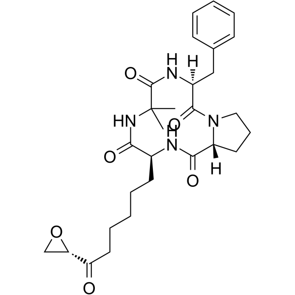 Chlamydocin