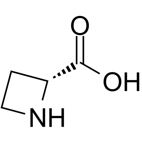 (R)-Azetidine-2-carboxylic acid Chemical Structure (R)-Azetidine-2-carboxylic acid