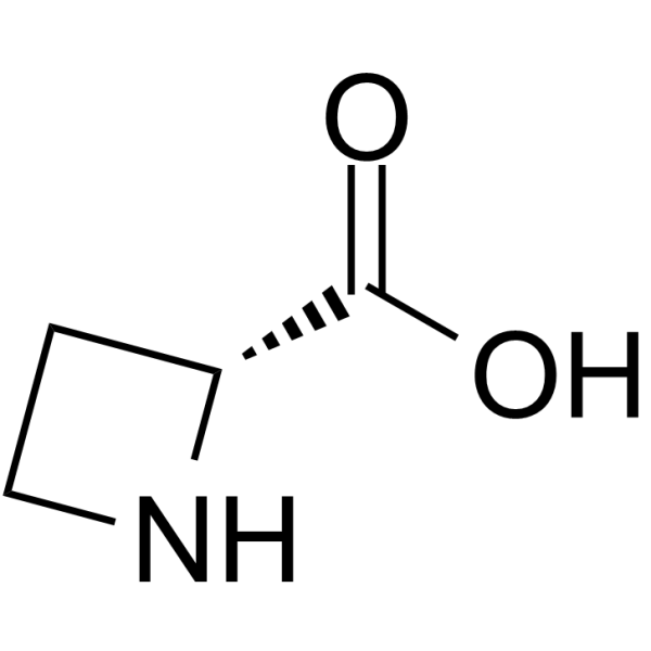 (R)-Azetidine-2-carboxylic acid