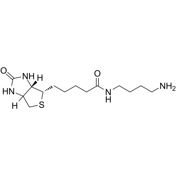 Biotin-C4-amide-C5-NH2