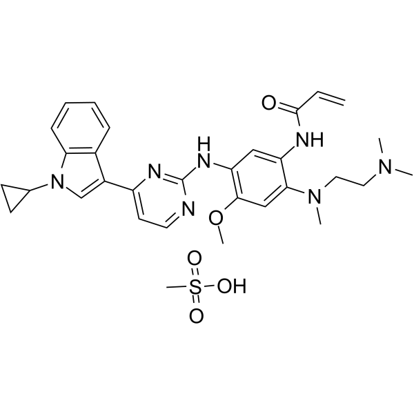 Almonertinib mesylate(Synonyms: HS-10296 mesylate)