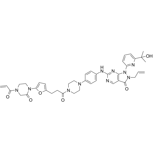 LEB-03-153