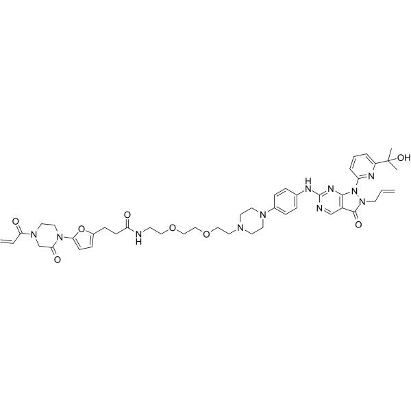 LEB-03-146