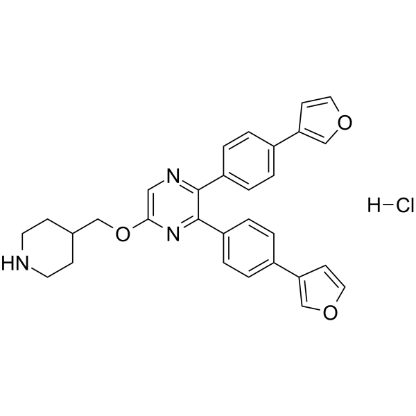 CBP/p300-IN-19 hydrochloride
