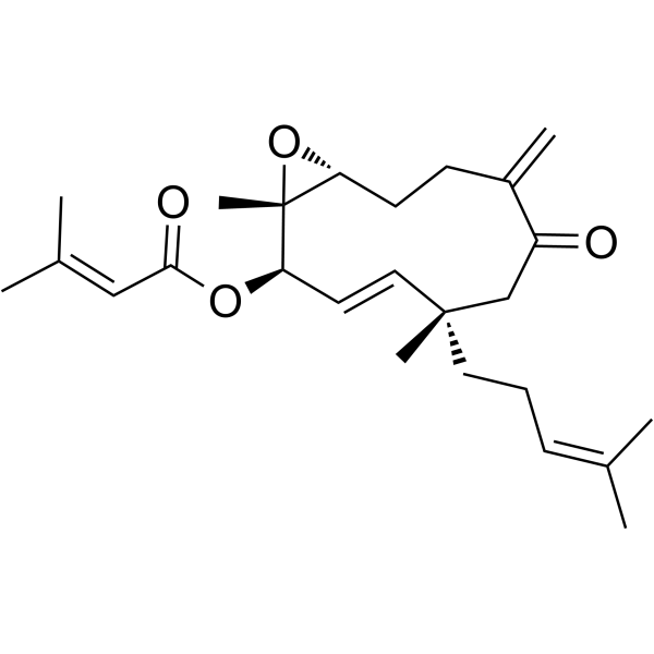 HSP90-IN-12