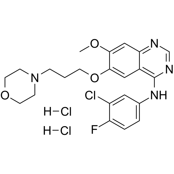 Gefitinib dihydrochloride(Synonyms: ZD 1839 dihydrochloride)
