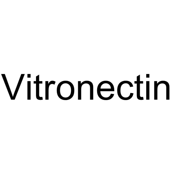 Vitronectin