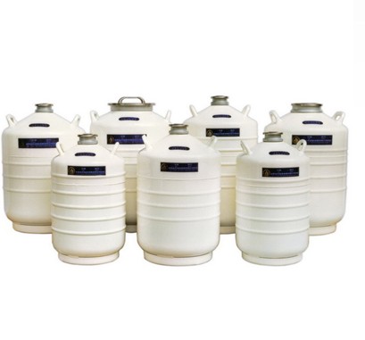 金凤 液氮生物容器贮存型（YDS-35合格品）