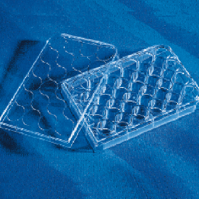 Corning/康宁 24孔细胞培养板 （3524）