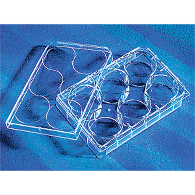 Corning康宁 6孔细胞培养板 标准透明板（3335）