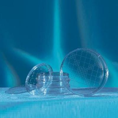 Greiner Bio-One 葛莱娜 Contact Dishes细胞培养皿 (629161)