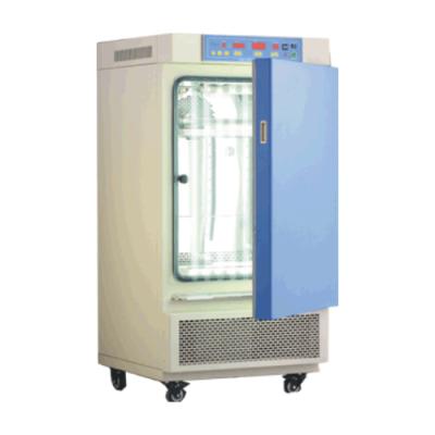 一恒 光照培养箱(普及型)(MGC-100P)
