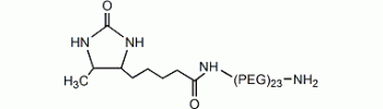 Desthiobiotin PEG23 amine           Cat. No. B2-P23A-1         5 mg