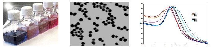 Gold Nanoparticles, 40 nm, 0.01% Au           Cat. No. GP01-40-20     40 nm    20 mL