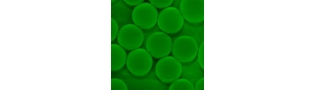 Silica beads, amine function           Cat. No. Si1u-AM-1     1 um    0.5 mL
