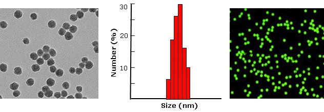 Silica nanoparticles, azide function           Cat. No. Si20-AZ-1     20 nm    0.5 mL