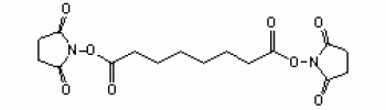 Disuccinimidyl suberate (DSS)           Cat. No. DS2-101         250 mg