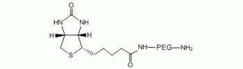 Biotin-PEG-NH2, Amino PEG Biotin           Cat. No. PG2-AMBN-2k     2000 Da    100 mg