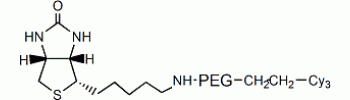 Cy3 PEG Biotin           Cat. No. PG2-BNS3-2k     2000 Da    5 mg