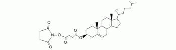 Cholesterol NHS           Cat. No. CSL02         25 mg