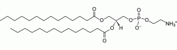 1,2-dimyristoyl-sn-glycero-3-phosphoethanolamine, DMPE           Cat. No. L3-DMPE     MW 635.853    50 mg