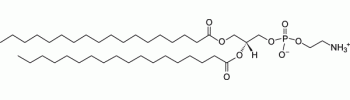 1,2-distearoyl-sn-glycero-3-phosphoethanolamine, DSPE           Cat. No. L3-DSPE     MW 748.065    50 mg