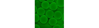 Streptavidin silica particles, green fluorescent           Cat. No. Si500-FCSV-1     500 nm    0.5 mL