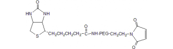 Biotin PEG Maleimide, Maleimide PEG Biotin           Cat. No. PG2-BNML-400     400 Da    100 mg