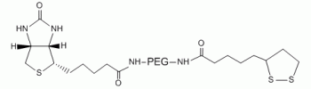 Lipoic acid PEG Biotin, LA-PEG-Biotin           Cat. No. PG2-BNLA-2k     2000 Da    100 mg