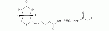 Iodoacetyl PEG Biotin, IA-PEG-Biotin           Cat. No. PG2-BNIA-3k     3400 Da    100 mg