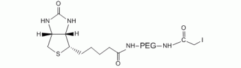 Iodoacetyl PEG Biotin, IA-PEG-Biotin           Cat. No. PG2-BNIA-5k     5000 Da    100 mg