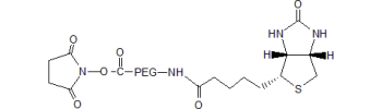 Biotin-PEG-NHS, NHS PEG Biotin           Cat. No. PG2-BNNS-1k     1000 Da    100 mg