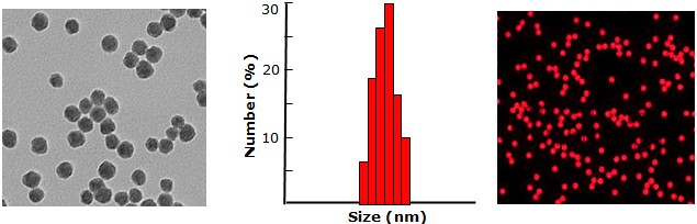 Red colored Silica nanoparticles           Cat. No. Si500-R-1     500 nm    1 mL