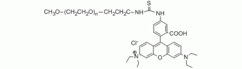 Rhodamine B PEG, mPEG-RB           Cat. No. PG1-RB-30k     30000 Da    25 mg