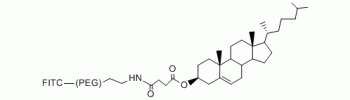 Cholesterol PEG FITC           Cat. No. PG2-CSFC-10k     10000 Da    10 mg