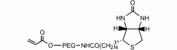 Acrylate PEG Biotin           Cat. No. PG2-ARBN-5k     5000 Da    100 mg