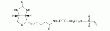 Vinylsulfone PEG Biotin, VS-PEG-Biotin           Cat. No. PG2-BNVS-3k     3400 Da    100 mg