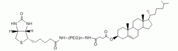 Cholesterol PEG Biotin, CLS-PEG-Biotin           Cat. No. PG2-BNCS-10k     10000 Da    20 mg